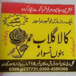 black rose (kala gulab) naswar