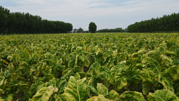 86047d94 a13e 46c4 b110 f454da2d8eb4