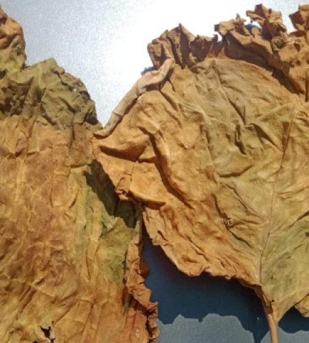 a1bea123 d5fd 44a5 b941 2cce41db4858