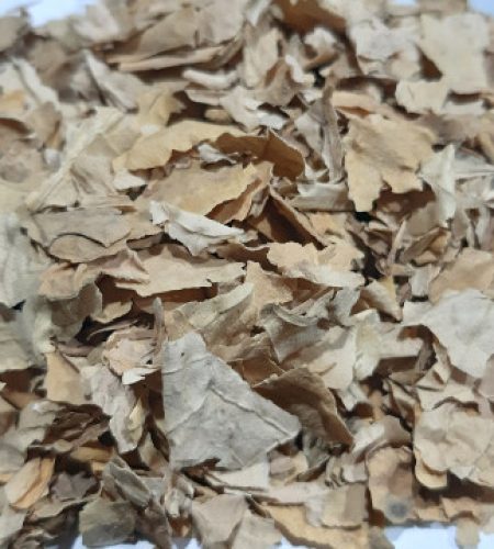 cb925c8a 2398 4efe 9783 9a9688a1188f